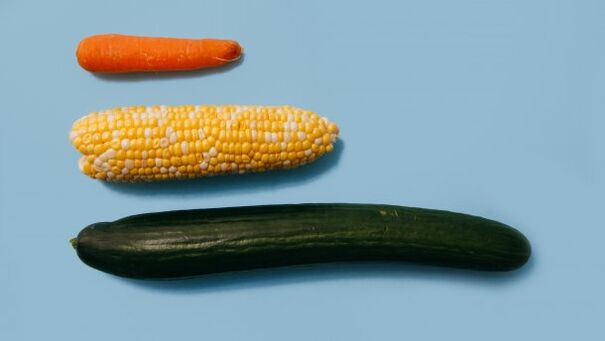 Skirtingi vyriško dydžio nariai daržovių pavyzdyje
